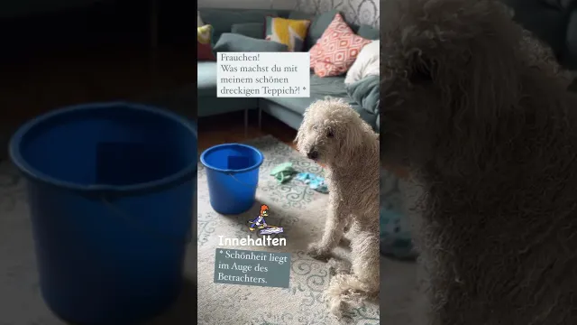 Objektive Schönheit gibt es nicht.  Wir können aufhören, uns zu vergleichen. 🙏 #Schönheitsideal