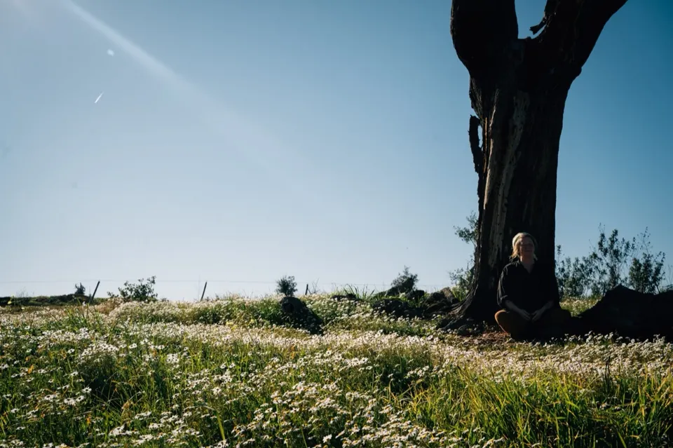 Stille ist Heilung