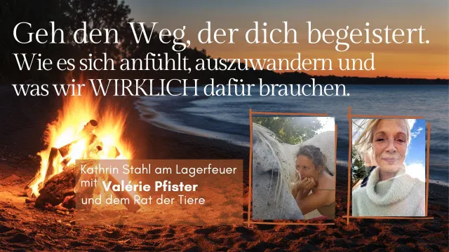 Wie kann ein Leben in der Fremde gelingen? Und was bedeutet eigentlich  "Heilung mit Tieren"?