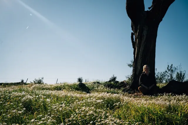 Stille ist Heilung