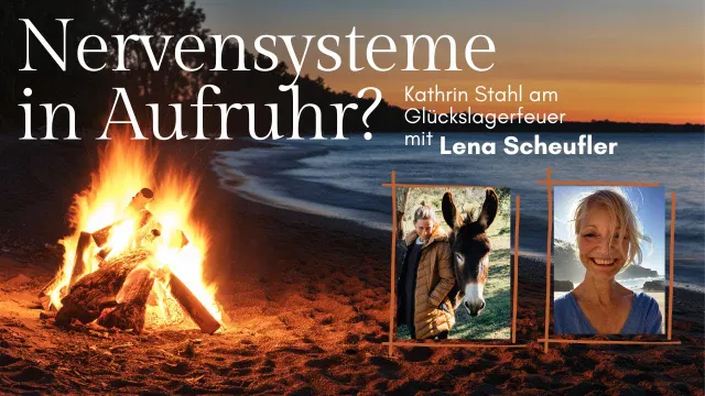 Was du brauchst, um dich sicher in dir fühlen zu können: Die Kraft deines Nervensystems.