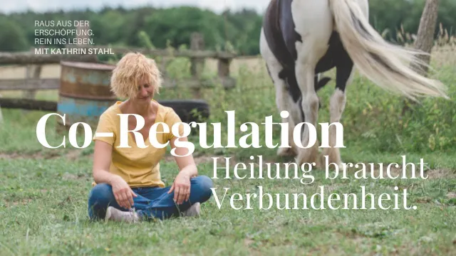 Warum Selbstregulation nicht reicht: Du musst das nicht alleine schaffen.