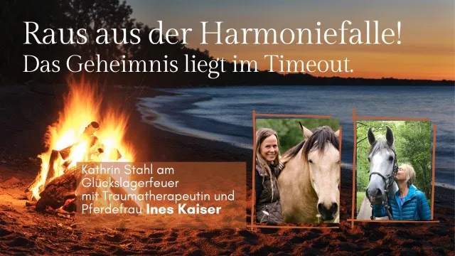 Wenn du denkst, Beziehung muss immer harmonisch sein, hast du schon verloren.