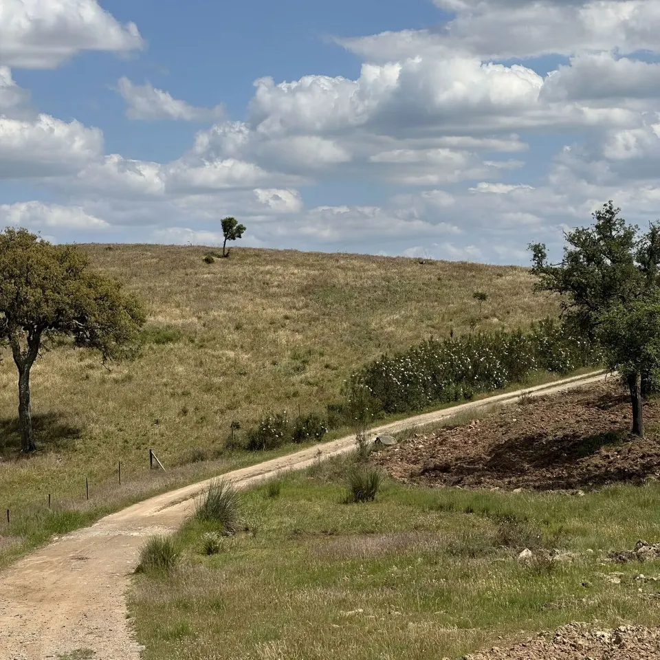 Ein Einzelretreat in Portugal mit den Pferden und mir ist für dich, wenn …