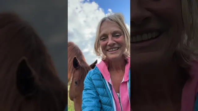 Wie viel Liebe kannst du reinlassen? #liebe #pferdegestütztescoaching #pferde